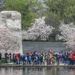 MLK Monument in Bloom