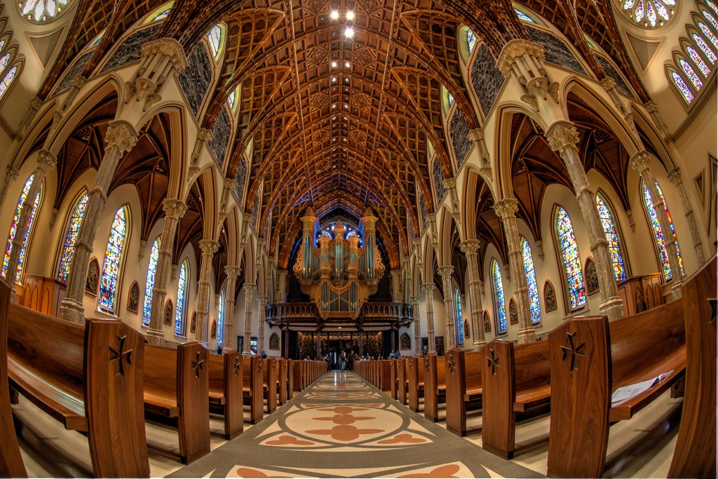 Inside Holy Name Cathedral by taffy