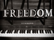 11th Apr 2015 - Freedom