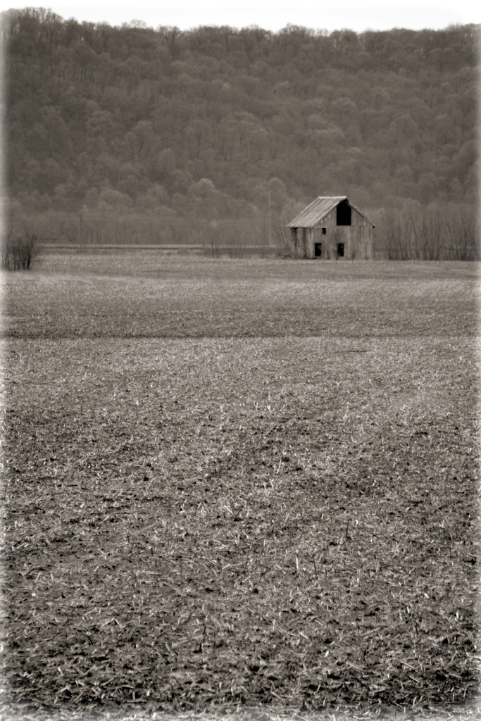 Farmland, SW Illinois by lsquared