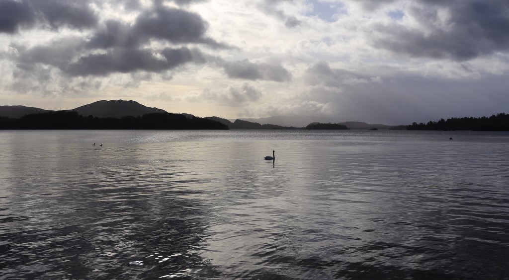 Loch Lomond by lifeat60degrees