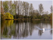 12th Apr 2015 - Quiet Waters