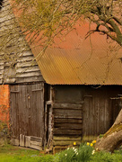 12th Apr 2015 - Another old barn.....