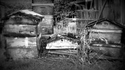 14th Aug 2014 - old hives