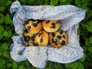 14th May 2013 - blueberry muffins