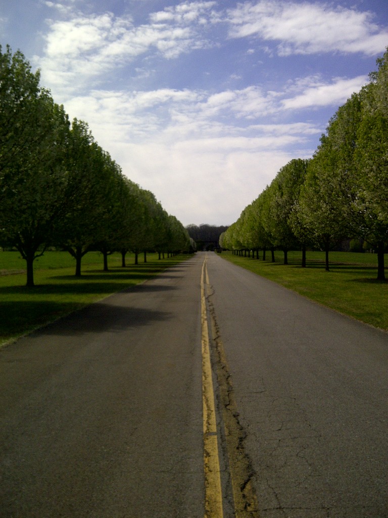 Long Straight Road by awalker