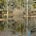 Ram Island Pond reflection by dianen