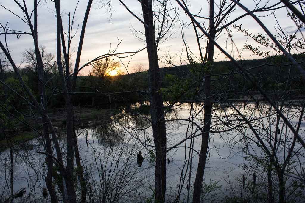 sunset over the beaver pond by randystreat