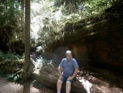 13th Apr 2015 - Sitting on a fallen branch or tree top