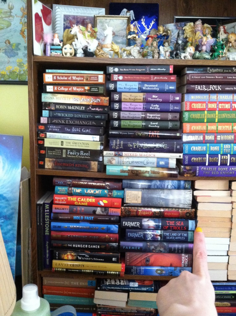 Bookshelves part 2 by tatra