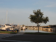 15th Apr 2015 - Yacht Basin, St. Petersburg, Florida