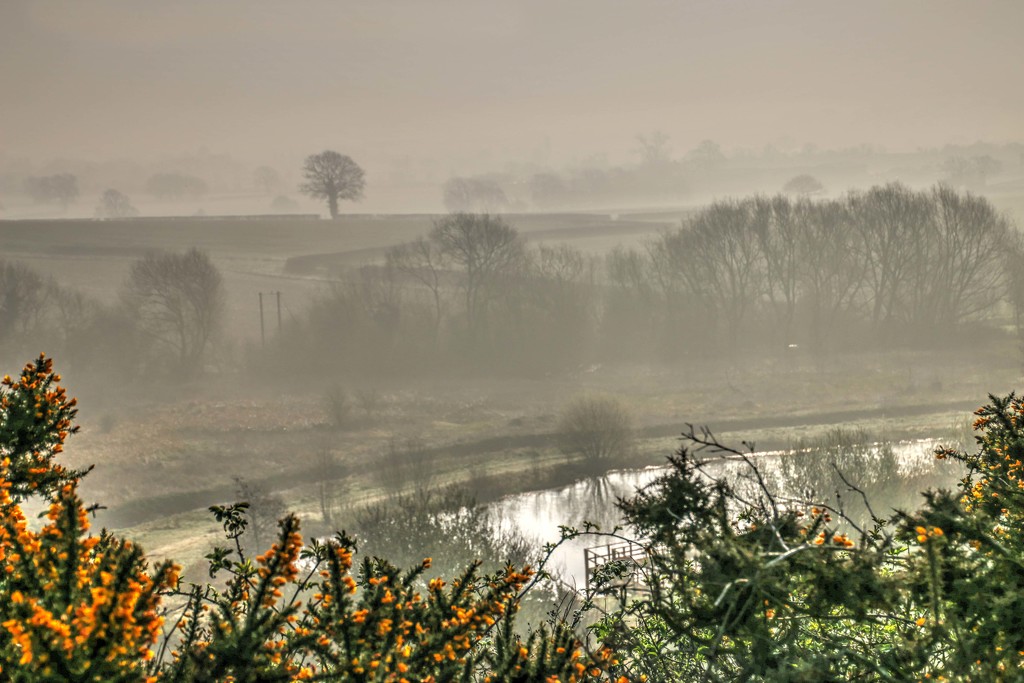 Distant Mist by shepherdmanswife