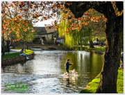 15th Apr 2015 - Bourton-On-The-Water