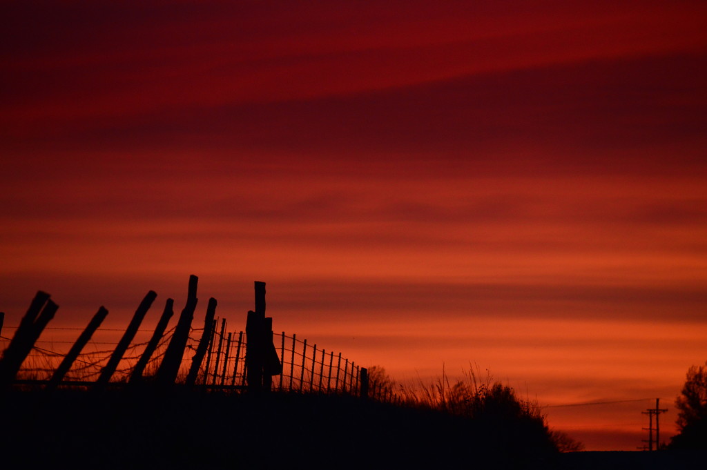 Shades of Red by kareenking