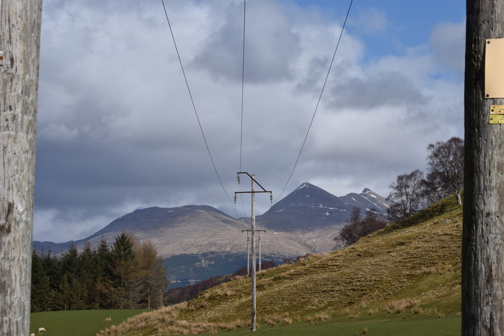 pylons by christophercox