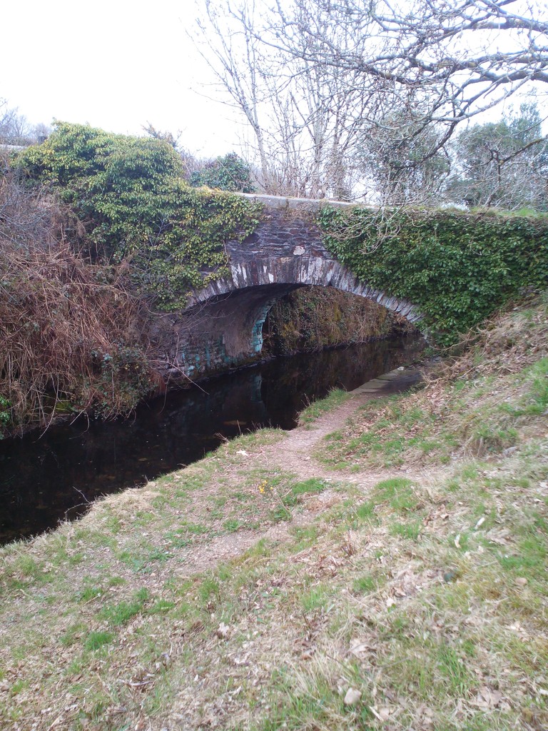 Bridge over Tavistock Canal by jennymdennis