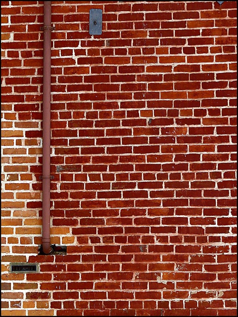 One Pipe on an Old Brick Wall by olivetreeann