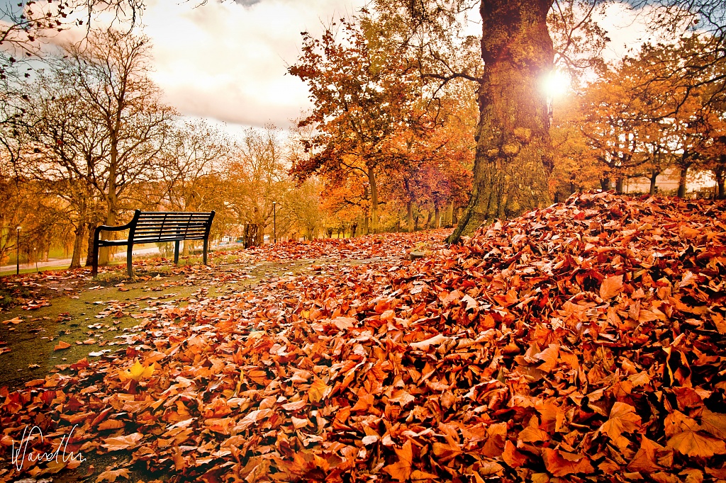Autumn in Nottingham by vikdaddy