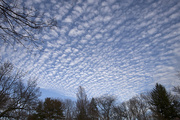 15th Apr 2015 - BlueSky Clouds