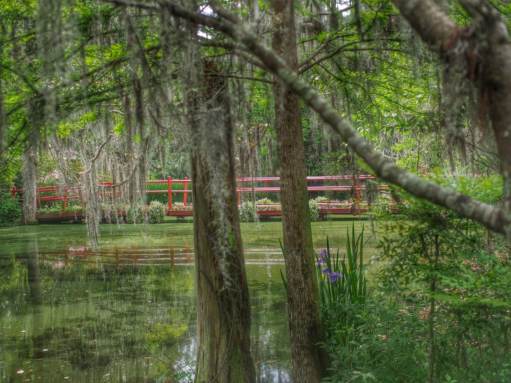 Magnolia Plantation Gardens by redy4et