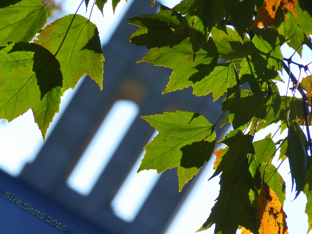 Bell Tower by peggysirk