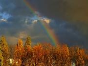 7th Nov 2010 - Autumn Rainbow