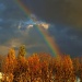 Autumn Rainbow by andycoleborn