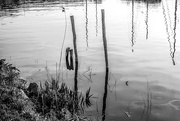 16th Apr 2015 - Masts, Staves and Reflections...