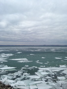 8th Apr 2015 - The St. Lawrence River Ice Flows