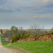 Rock Fence, Country Road by kareenking