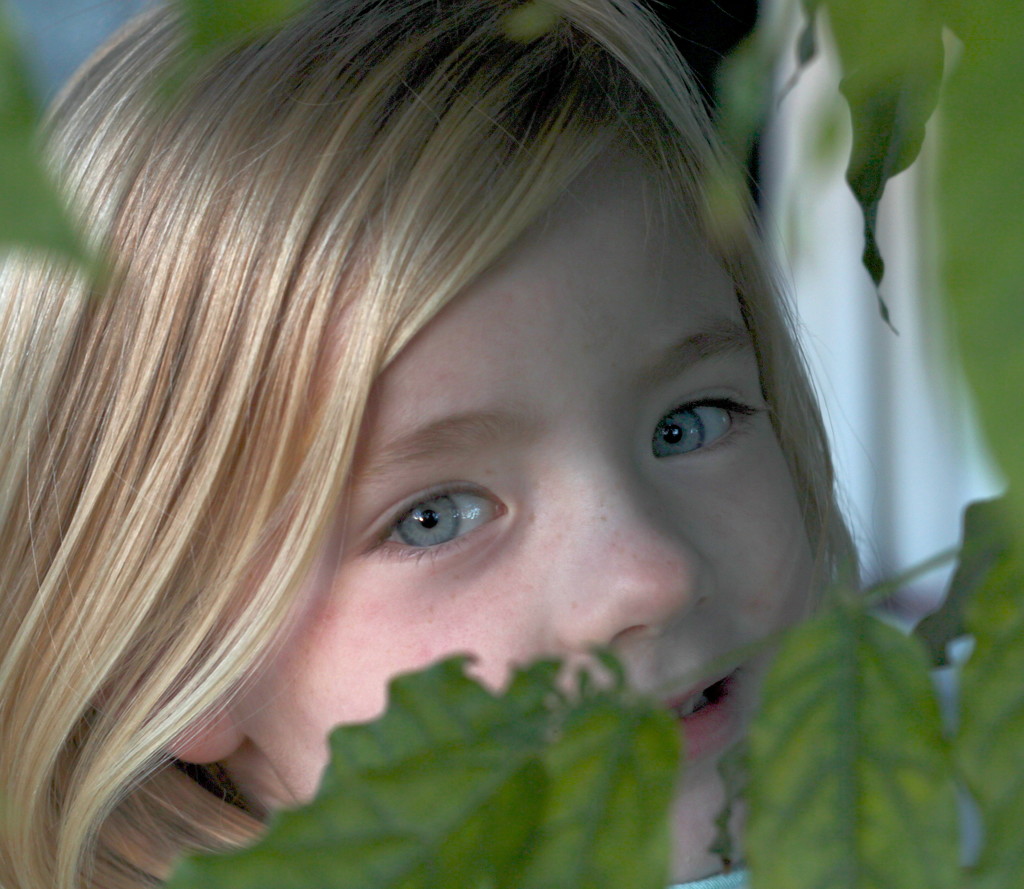 Green leaves Peeping eyes by kiwinanna