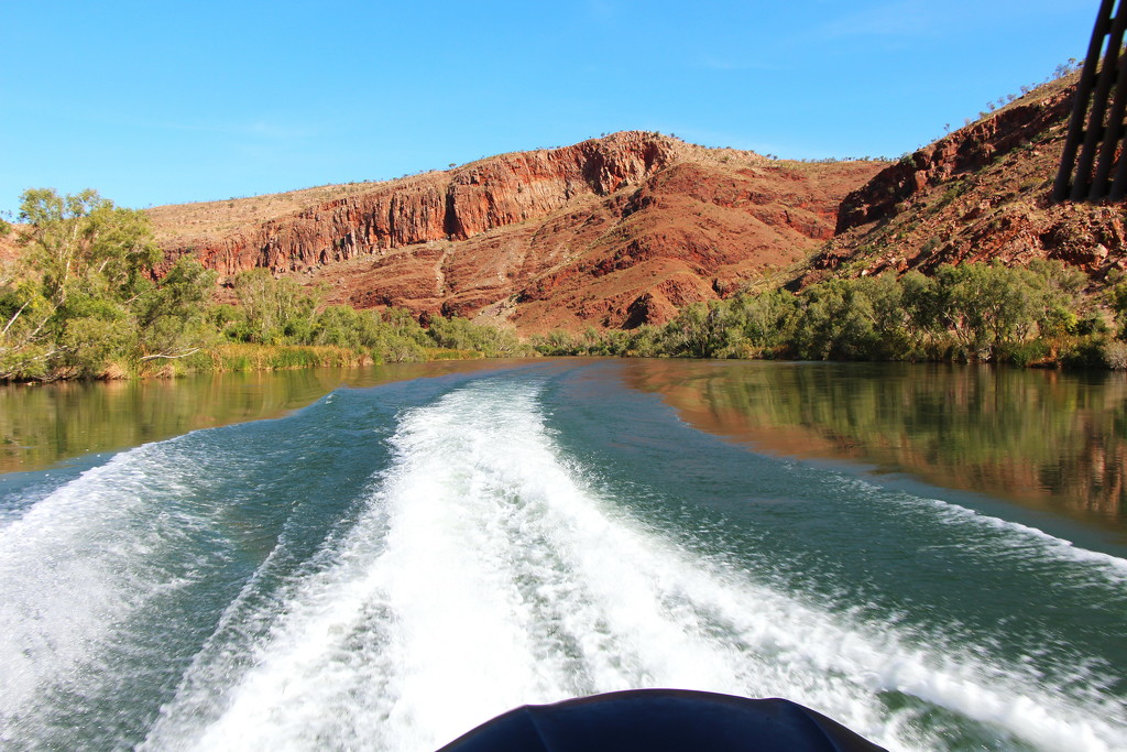 Day 11 - Ord River 2 by terryliv