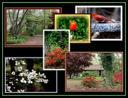 17th Apr 2015 - Spring Collage