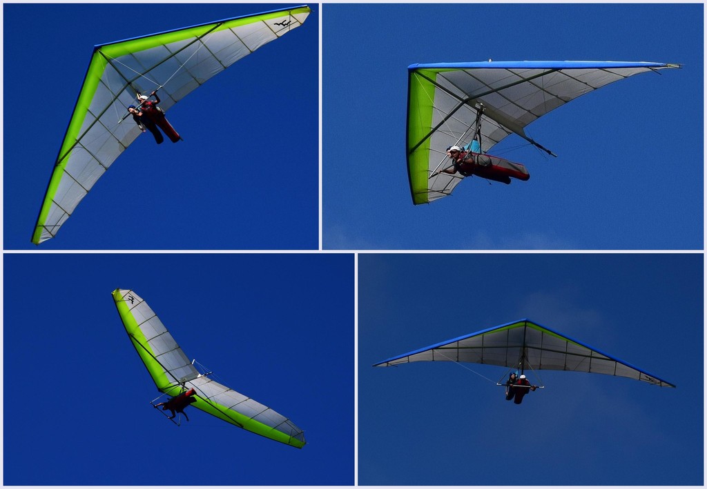 Hang Gliding. by happysnaps