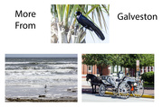 13th Apr 2015 - More from Galveston