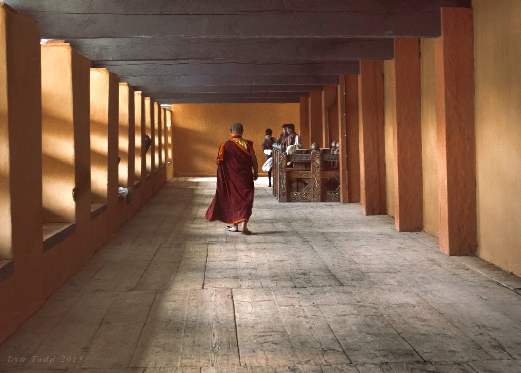 Phunaka Dzong by ltodd