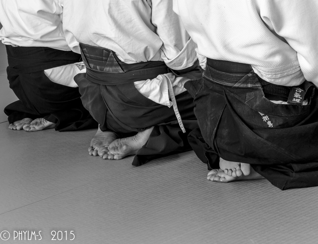 Aikido "the way of harmonious spirit." by elatedpixie