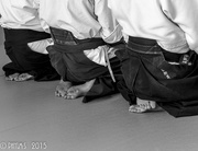 18th Apr 2015 - Aikido "the way of harmonious spirit."