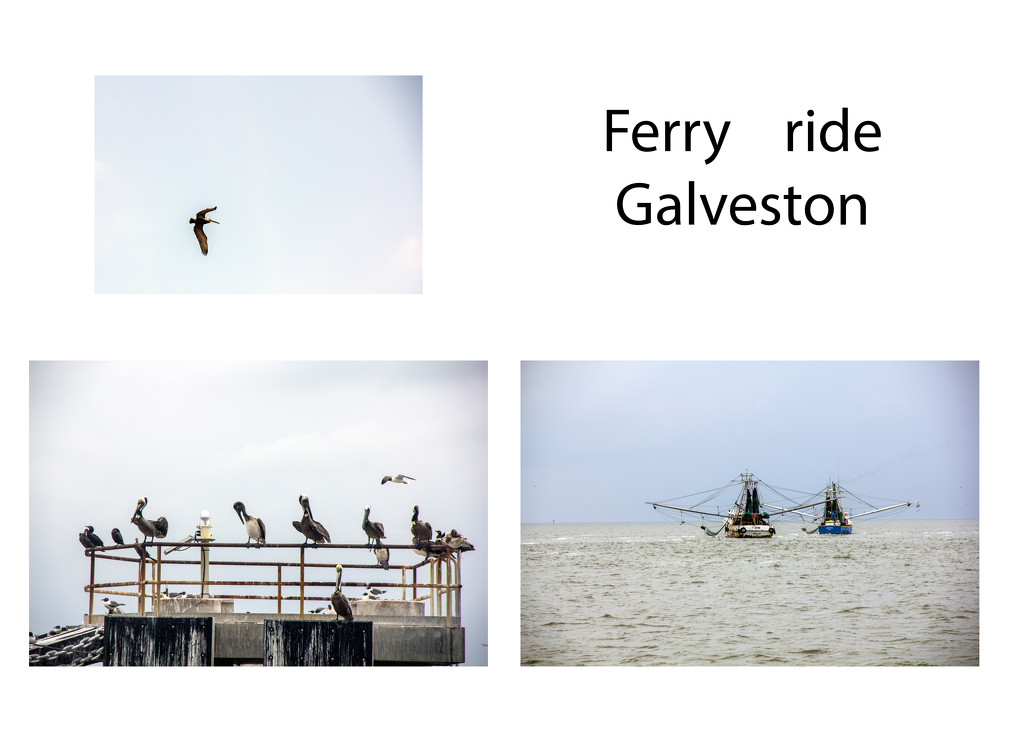 Ferry Ride by hjbenson
