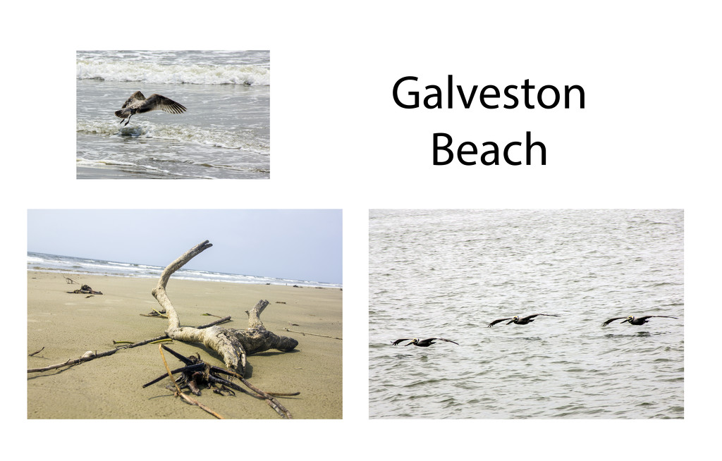 Galveston Beach by hjbenson