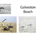 Galveston Beach by hjbenson