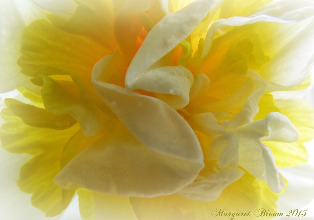 Lemon meringue by craftymeg