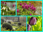 19th Apr 2015 - Dyrham Park, Near Bath