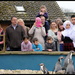Admiring The Penguins by phil_howcroft