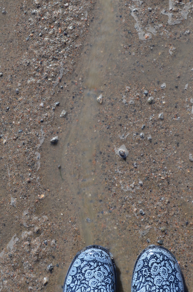 Day 291 - Mud Galore by ravenshoe