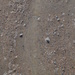 Day 291 - Mud Galore by ravenshoe