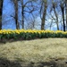 Spring On A Hillside by digitalrn