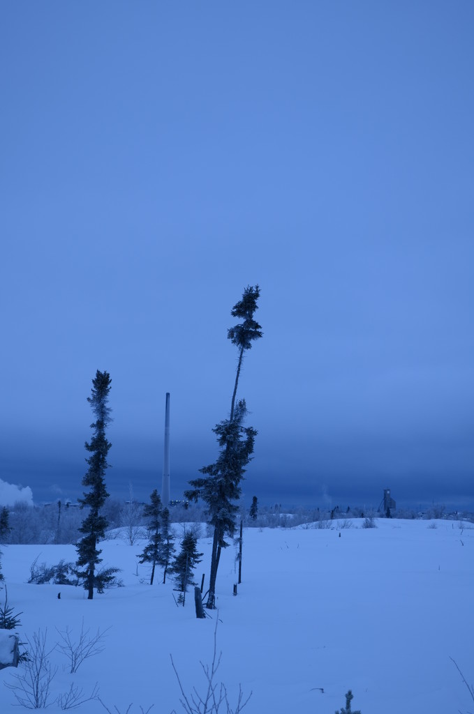 Day 265 - Winter Dusk by ravenshoe