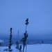Day 265 - Winter Dusk by ravenshoe