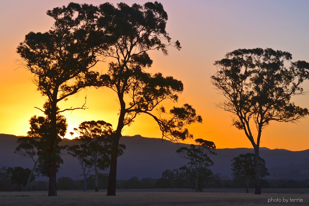 Pre-Easter Grampians sunset by teodw